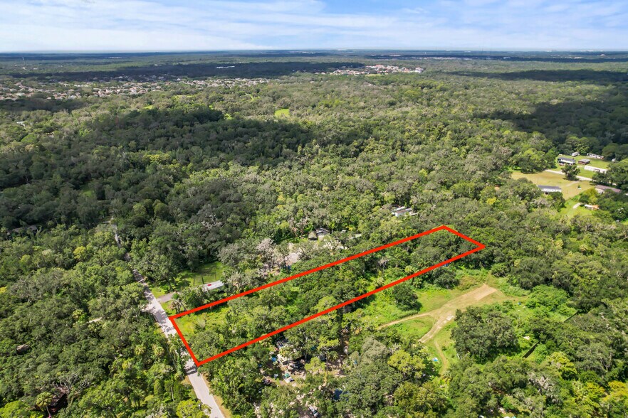 4420 River Dr., Valrico, FL à vendre - Aérien – Image 2 sur 17