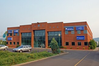 Plus de détails pour 4104 Vestal Parkway East, Vestal Township, NY - Bureau à louer