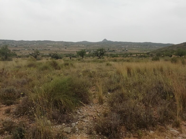 Terrain dans Hondón de los Frailes, Alicante à vendre - Aérien – Image 2 sur 5