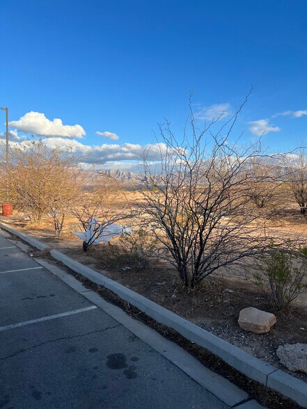 1020 W Pioneer Blvd, Mesquite, NV à vendre - Photo de l’immeuble – Image 3 sur 10