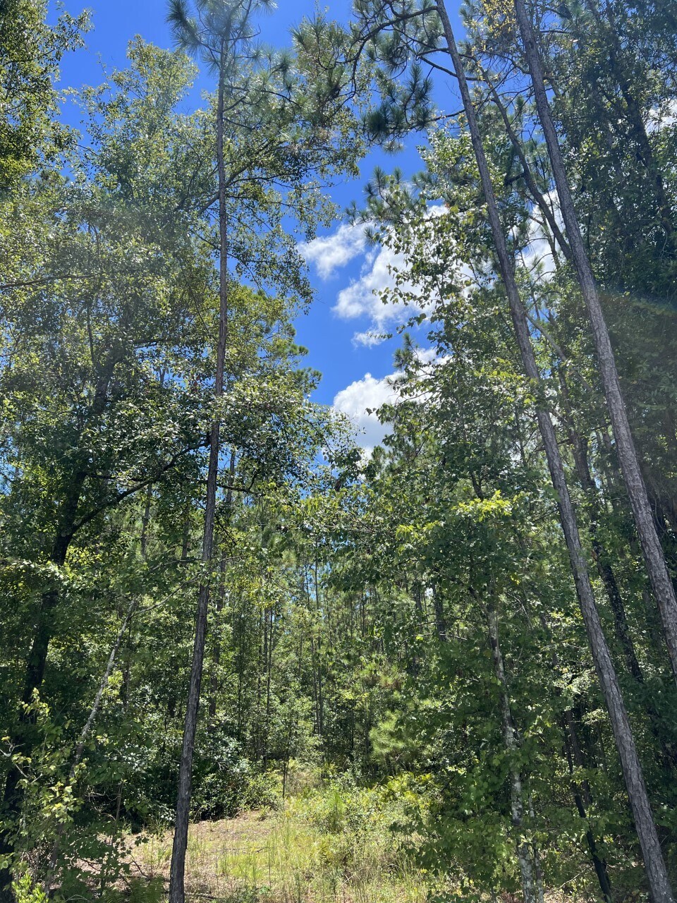 0 103rd, Jacksonville, FL à vendre Photo principale– Image 1 sur 10