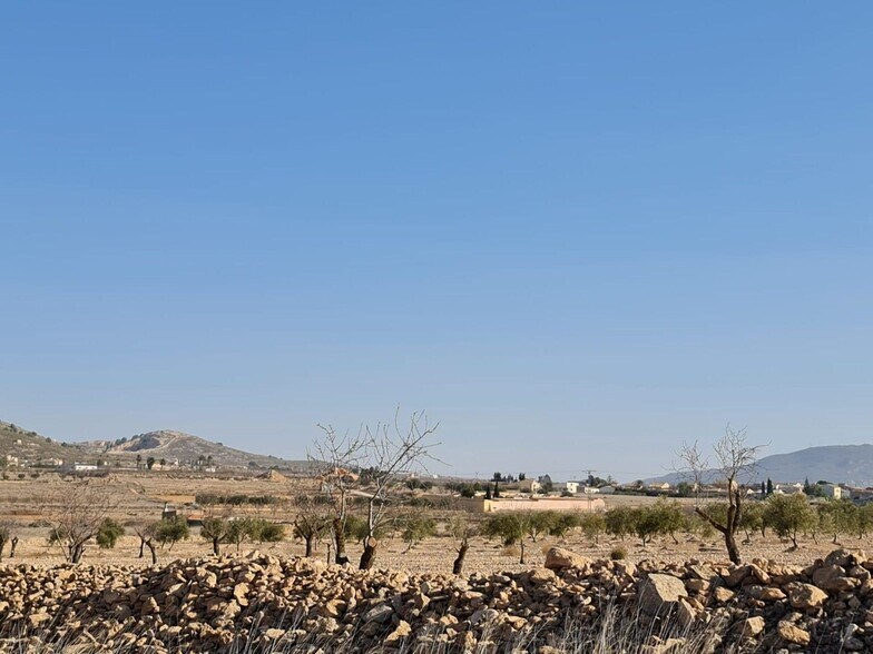 Terrain dans Jumilla, Murcia à vendre - Photo principale – Image 3 sur 9