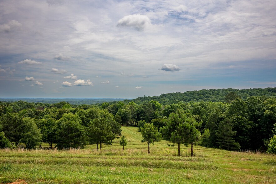 85 Blackjack Mountain Rd, Bowdon, GA à vendre - Photo de l’immeuble – Image 3 sur 4