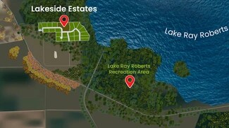 Plus de détails pour 1180 McReynolds Rd, Sanger, TX - Terrain à vendre