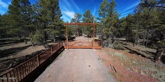 Plus de détails pour 950 Birdsong Wy, Lakeside, AZ - Terrain à vendre