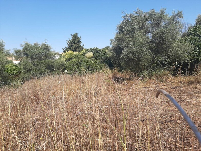 Terrain dans Casas de Don Antonio, Cáceres à vendre - Photo principale – Image 3 sur 12