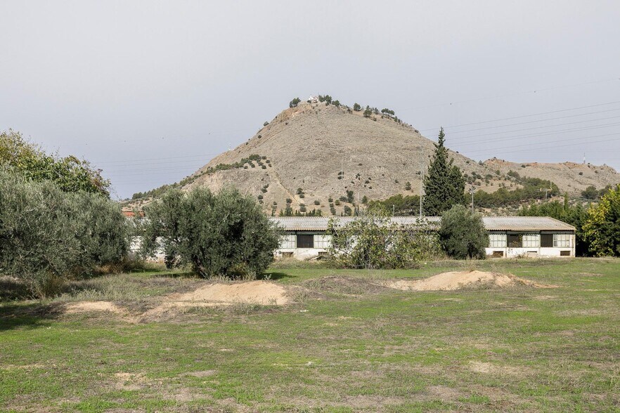 Camino del Albarrate, 6, Atarfe, Granada à vendre - Photo principale – Image 1 sur 24