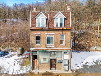 Plus de détails pour 134 Steuben St, Pittsburgh, PA - Local commercial à vendre