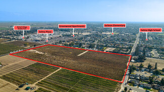 Plus de détails pour 9885 S McCall Ave, Selma, CA - Terrain à vendre