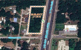 Plus de détails pour 11331 S US 301, Riverview, FL - Terrain à vendre