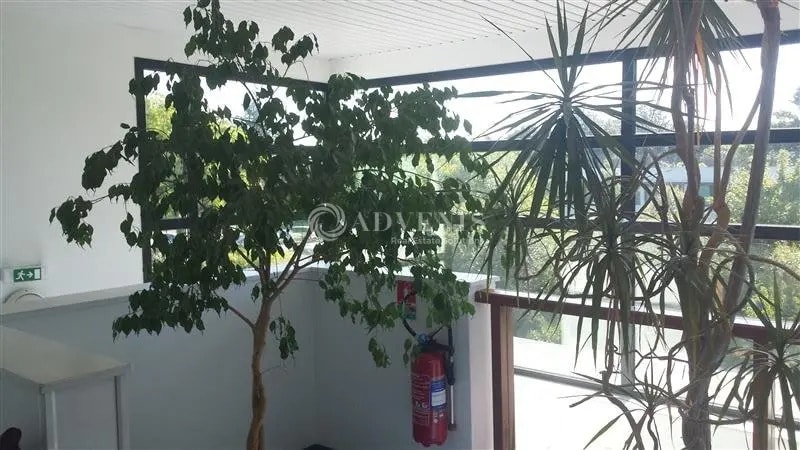 Bureau dans Nantes à louer - Photo intérieure – Image 2 sur 3