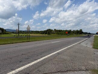 Plus de détails pour 48079 Alabama 21 Hwy, Munford, AL - Terrain à vendre