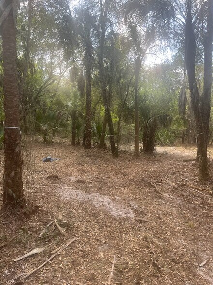 0 Camellia, Crystal River, FL à vendre - Autre – Image 2 sur 11