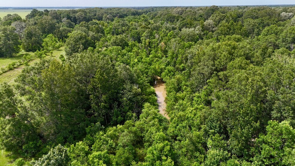 31100 Old Sour Lake Road, Sour Lake, TX à vendre - Photo de l’immeuble – Image 2 sur 2