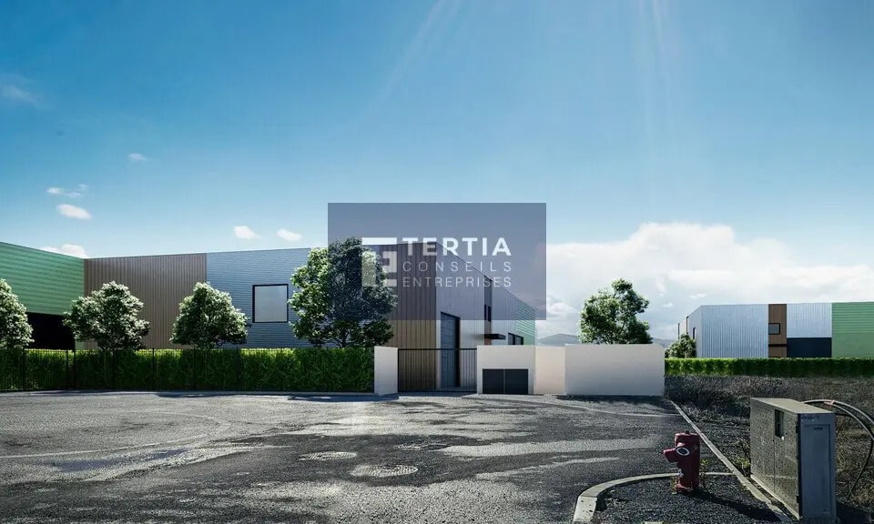 Local d’activités dans Bessan à louer - Photo de l’immeuble – Image 2 sur 13