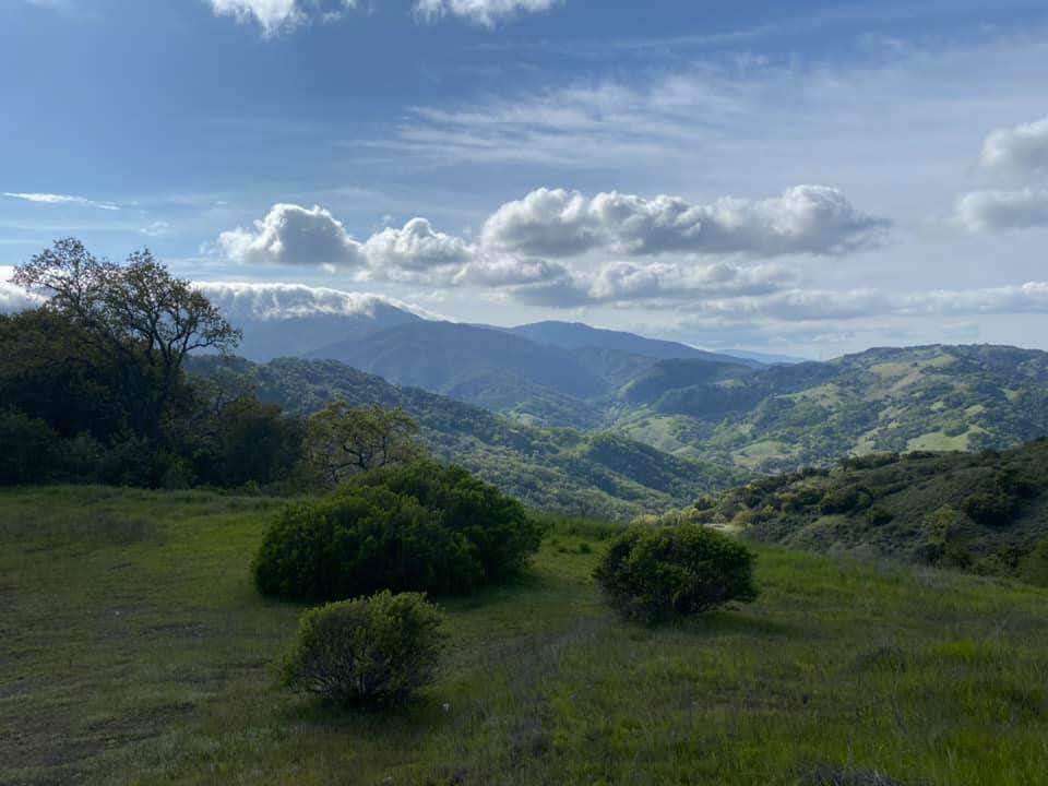 View Photo
