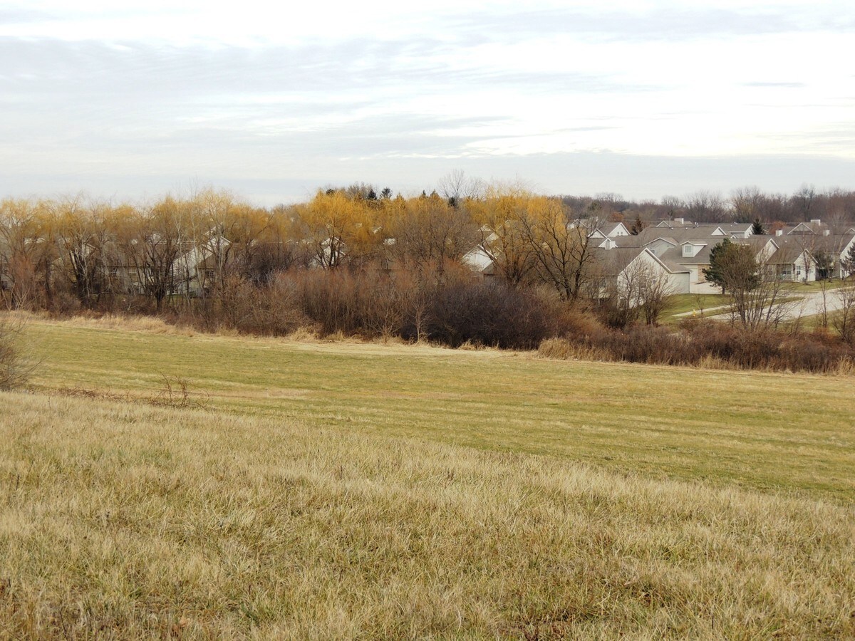 View Photo