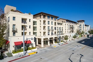 Avila Apartments - Local commercial