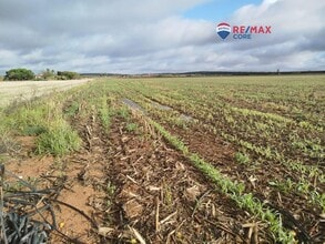 Mérida, BAD - VUE AÉRIENNE vue de carte - Image1