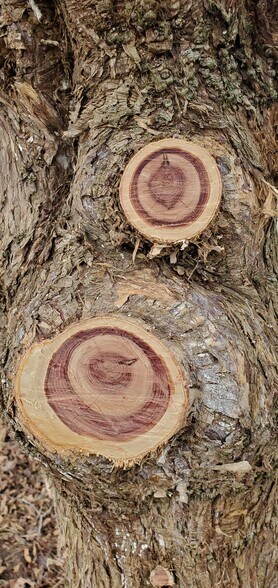 4775 S 50th St, Aldrich, MO à vendre - Photo de l’immeuble – Image 3 sur 29