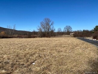 Plus de détails pour 247 Vineyard Ave, Highland, NY - Terrain à vendre