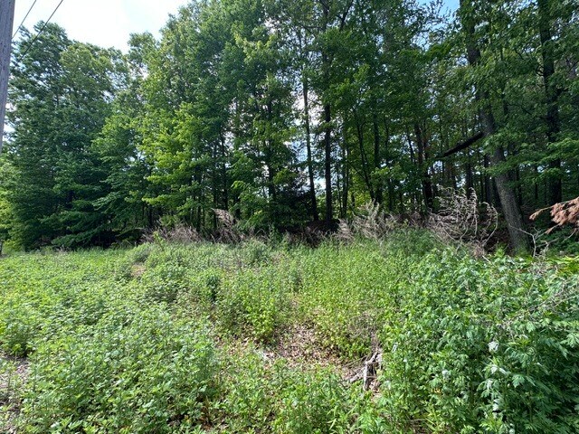55 Depot Pl, Unionville, CT à vendre - Photo de l’immeuble – Image 1 sur 7
