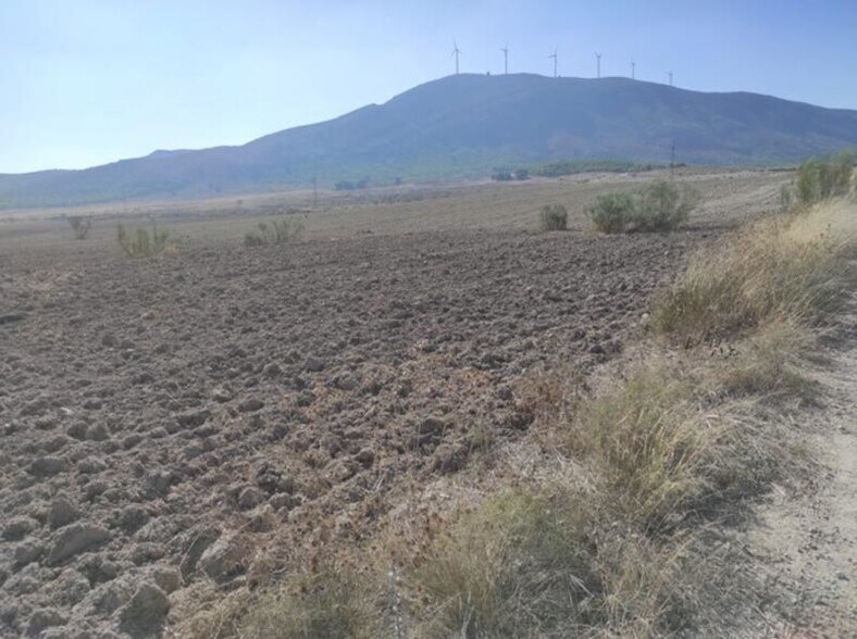 Terrain dans Cieza à vendre - Aérien – Image 2 sur 17