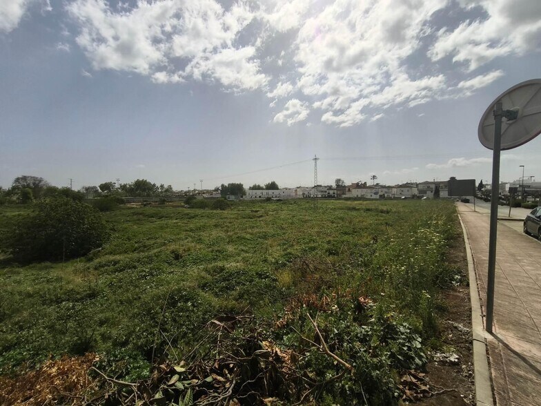 Terrain dans Arcos de la Frontera, Cádiz à vendre - Photo de l’immeuble – Image 3 sur 10