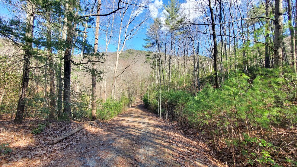 Mountain Cove Estates Rd, Cherry Log, GA à vendre - Photo de l’immeuble – Image 3 sur 41