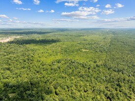 70 Residential Lots In Cedar Creek Chase - Terrain