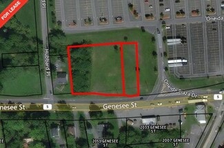 Plus de détails pour Genesee Street, Oneida, NY - Terrain à vendre