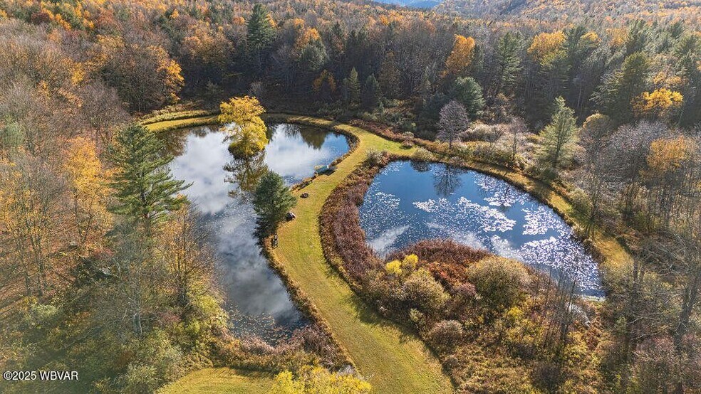1382 Bear Mountain Road, Forksville, PA à vendre - Photo de l’immeuble – Image 3 sur 51