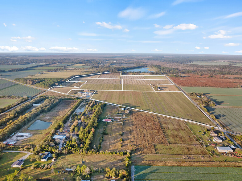 7120 County Road 13 South, Hastings, FL à vendre - Aérien – Image 2 sur 31