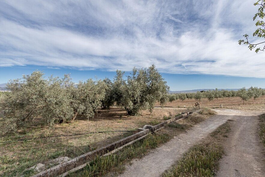 Pago de, Albolote, Granada à vendre - Photo de l’immeuble – Image 3 sur 14