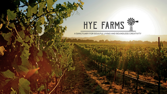 Plus de détails pour 9695 US-290 Hwy, Hye, TX - Terrain à vendre