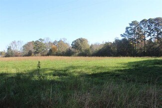 Plus de détails pour 181 Waldrip Dr, Cullman, AL - Terrain à vendre