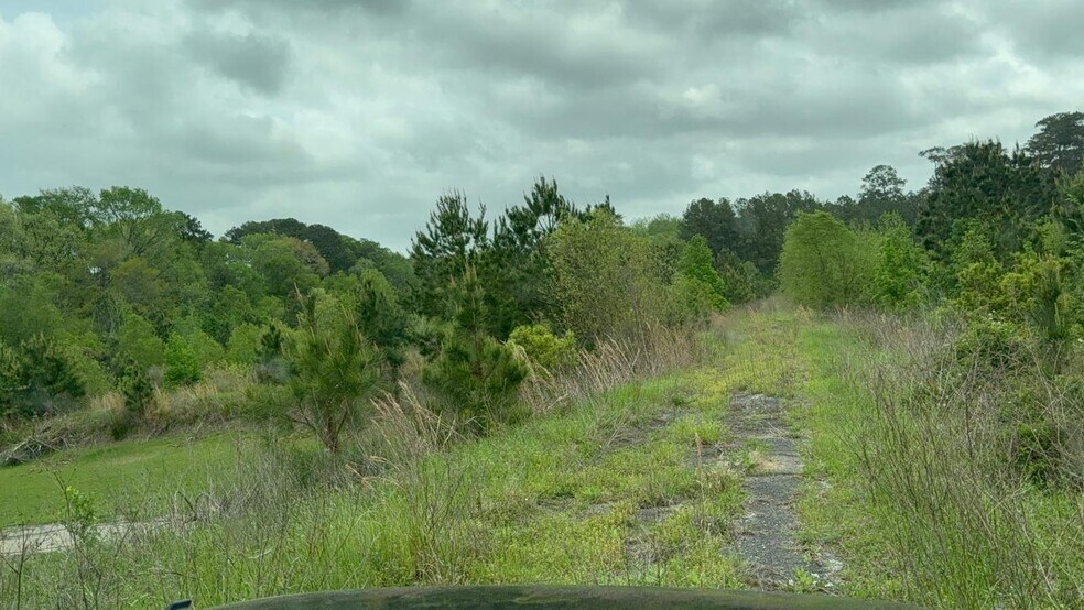 289 County Road 098, Jasper, TX à vendre - Photo de l’immeuble – Image 1 sur 21