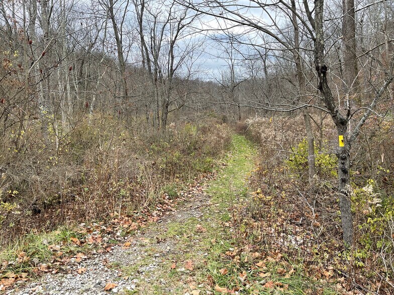 Burtner Rd, Natrona Heights, PA à vendre - Photo principale – Image 1 sur 4