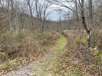 Plus de détails pour Burtner Rd, Natrona Heights, PA - Terrain à vendre