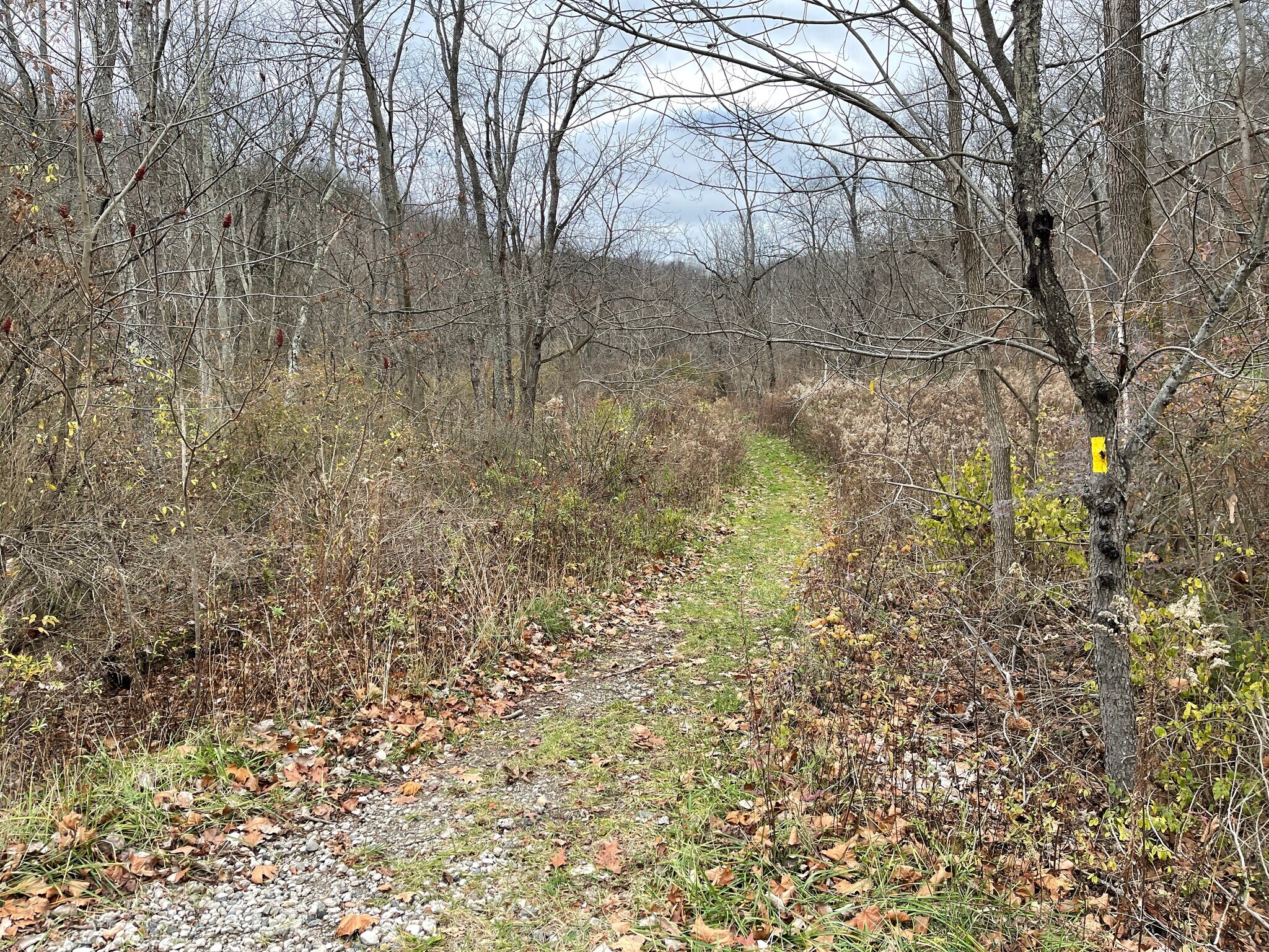 Burtner Rd, Natrona Heights, PA à vendre Photo principale– Image 1 sur 5