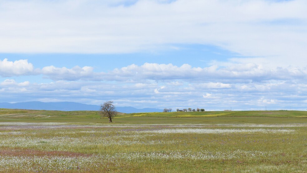 Road 33, Artois, CA à vendre - Photo principale – Image 1 sur 22