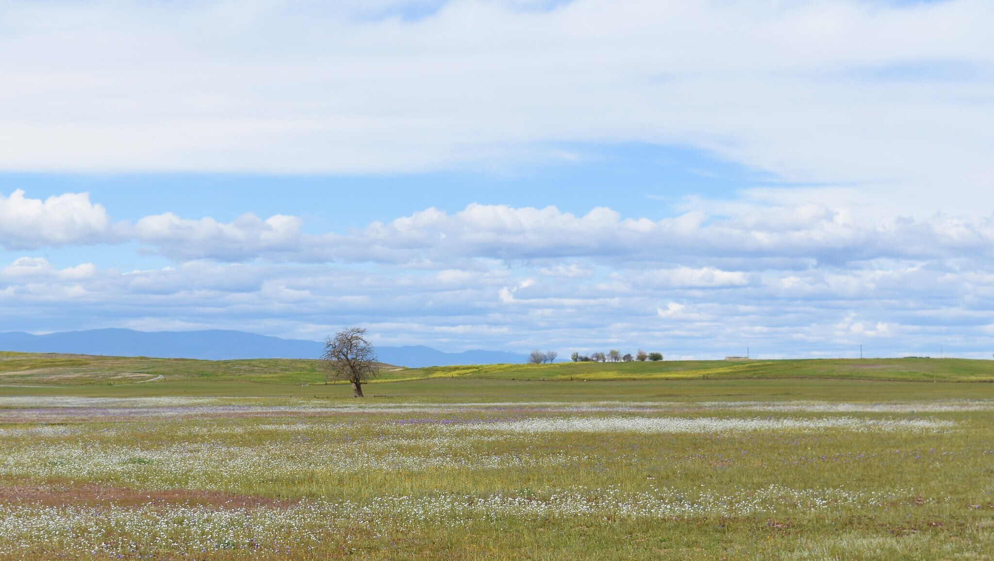 Road 33, Artois, CA à vendre Photo principale– Image 1 sur 23
