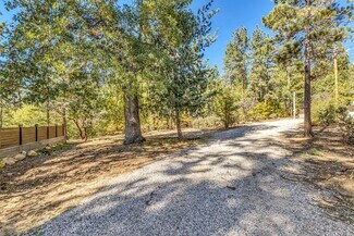 Plus de détails pour 54620 North Circle Drive dr, Idyllwild-Pine Cove, CA - Terrain à vendre