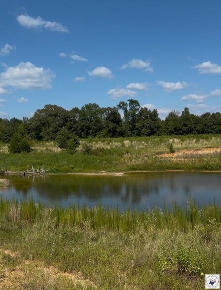 243 County Road 2513, Naples, TX à vendre - Aérien – Image 1 sur 1