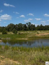 243 County Road 2513, Naples, TX - Vue aérienne vue de carte