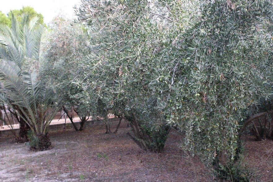 Terrain dans Molina de Segura, Murcia à vendre - Photo de l’immeuble – Image 2 sur 14