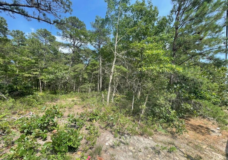 1463 Route 539, Tuckerton, NJ à vendre Photo de l’immeuble– Image 1 sur 8