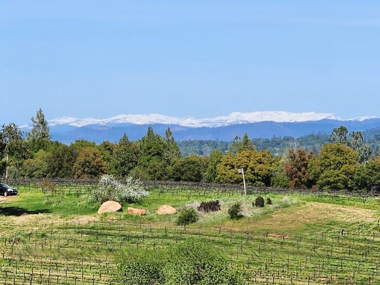 11777 Shenandoah Road, Plymouth, CA à vendre - Photo de l’immeuble – Image 2 sur 39