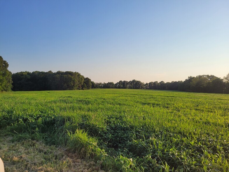 Highway DD (123.22 ac) Tract A, Bellflower, MO à vendre - Photo de l’immeuble – Image 3 sur 33