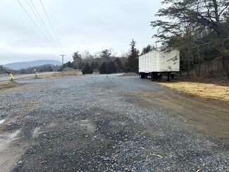Plus de détails pour Route 259 Hwy, Fulks Run, VA - Terrain à louer